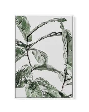 Abstract Fig I | Framed Canvas Art Print