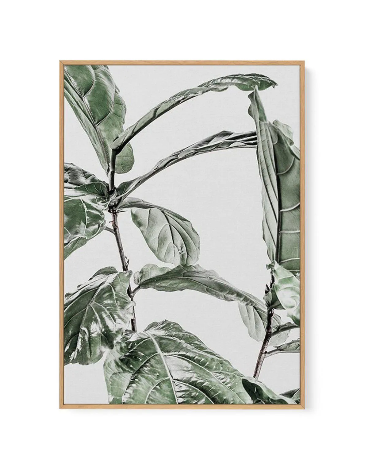 Abstract Fig I | Framed Canvas Art Print