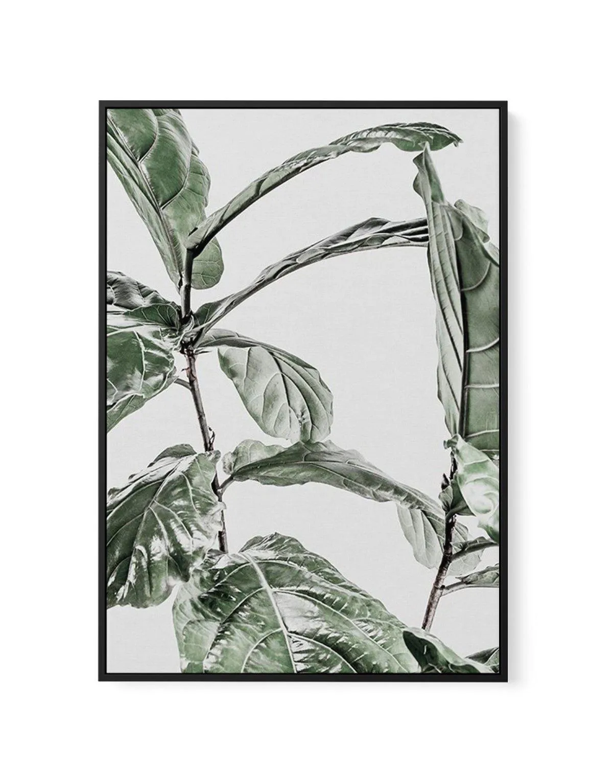 Abstract Fig I | Framed Canvas Art Print