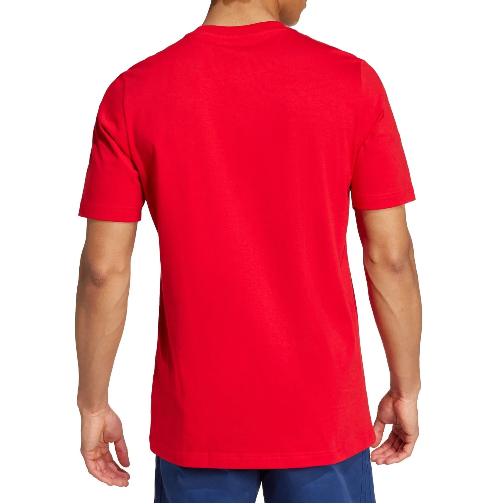 adidas Men's Arsenal FC DNA GR Tee Red