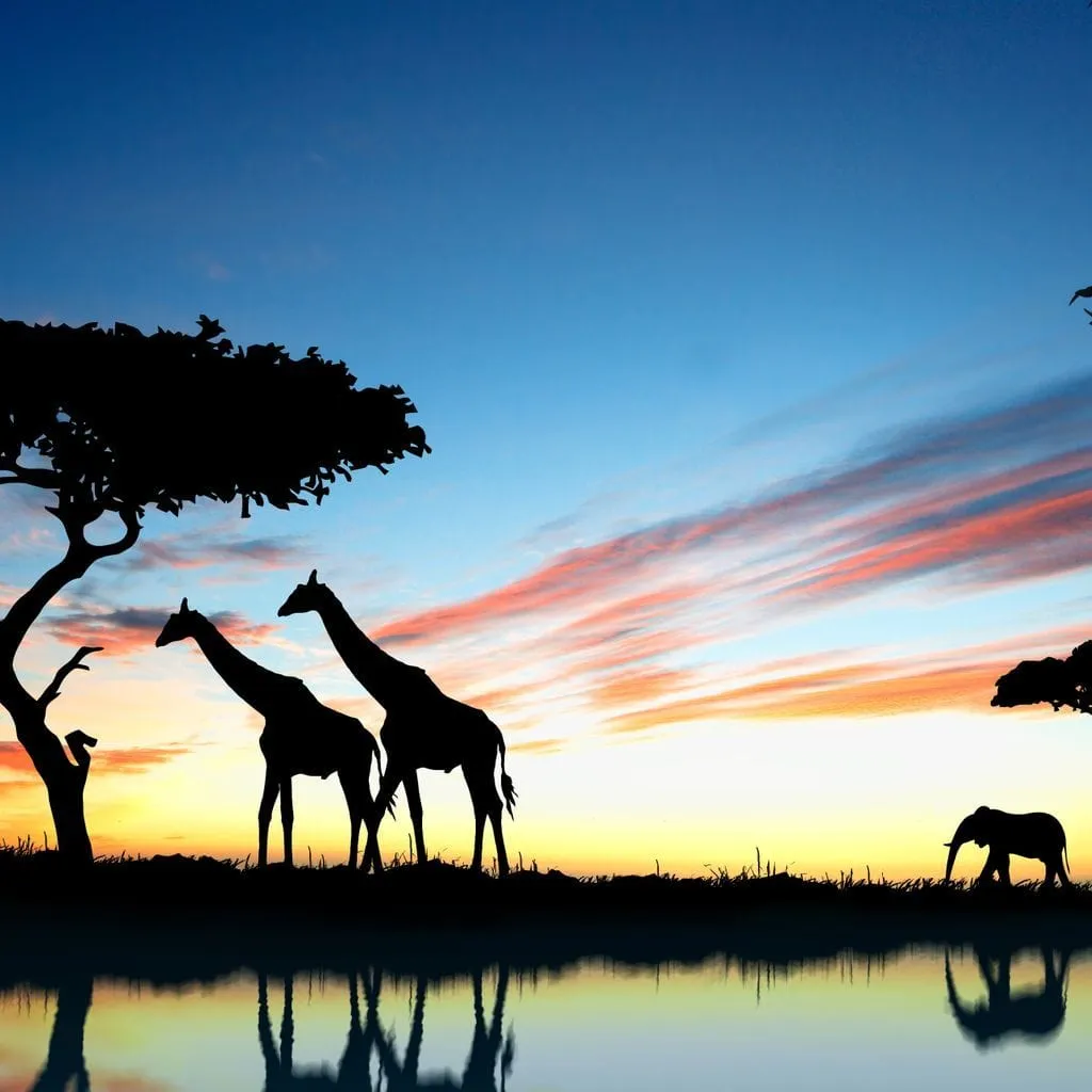 African Sunset