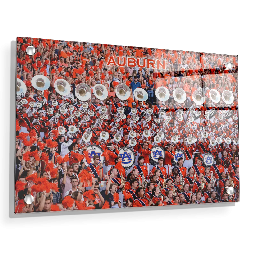 Auburn Tigers - Auburn University Marching Band