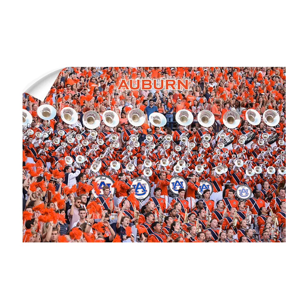 Auburn Tigers - Auburn University Marching Band