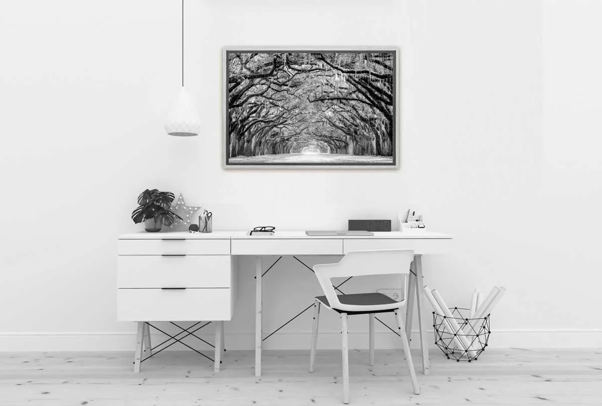 Avenue of Giant Oaks | Canvas Wall Art Print
