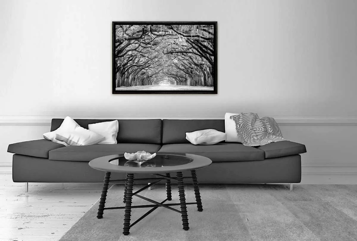 Avenue of Giant Oaks | Canvas Wall Art Print