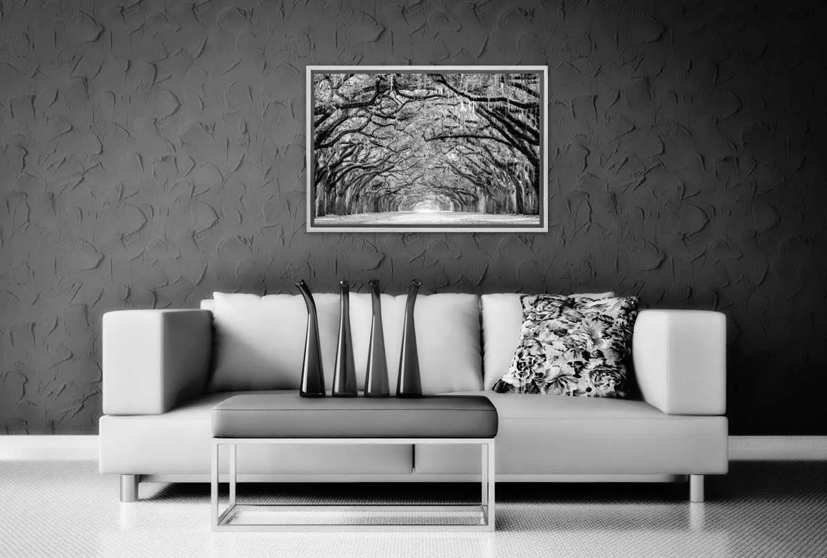 Avenue of Giant Oaks | Canvas Wall Art Print