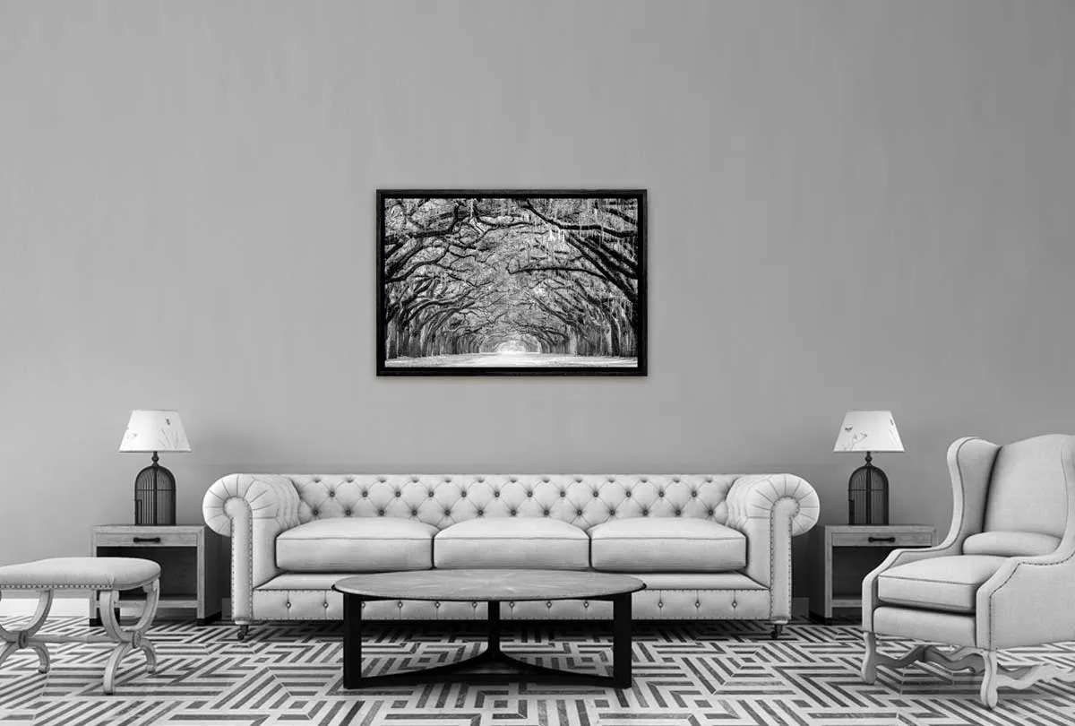 Avenue of Giant Oaks | Canvas Wall Art Print