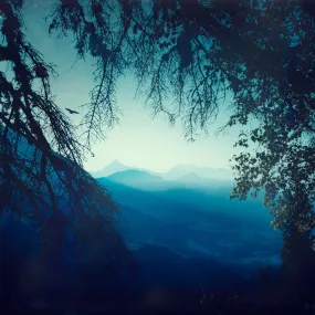 Blue Morning