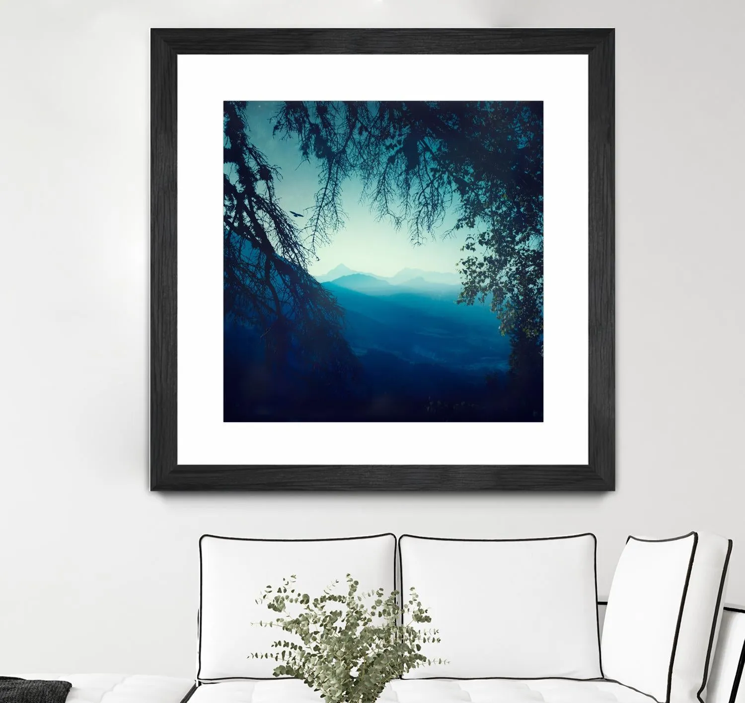 Blue Morning