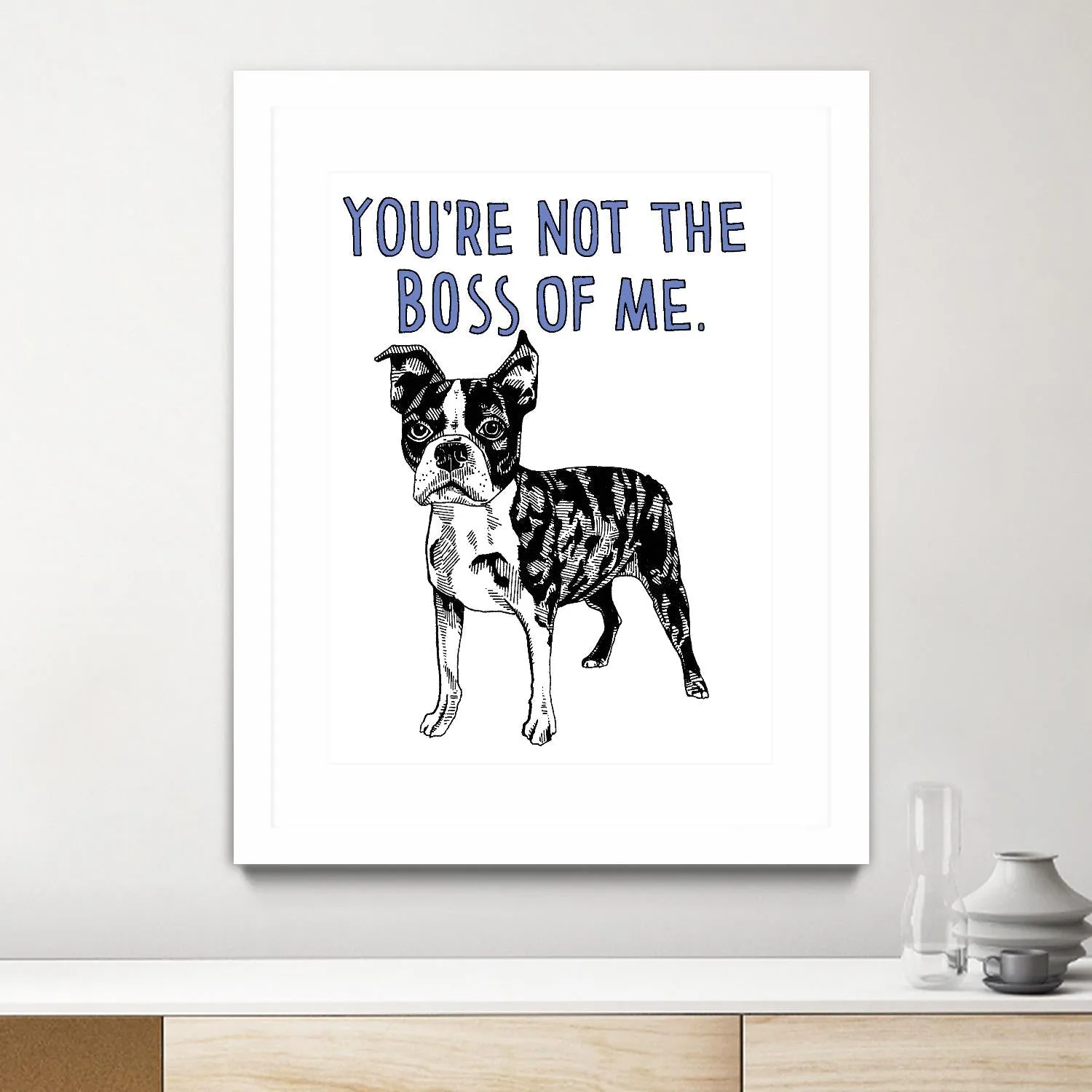 Boston Terrier