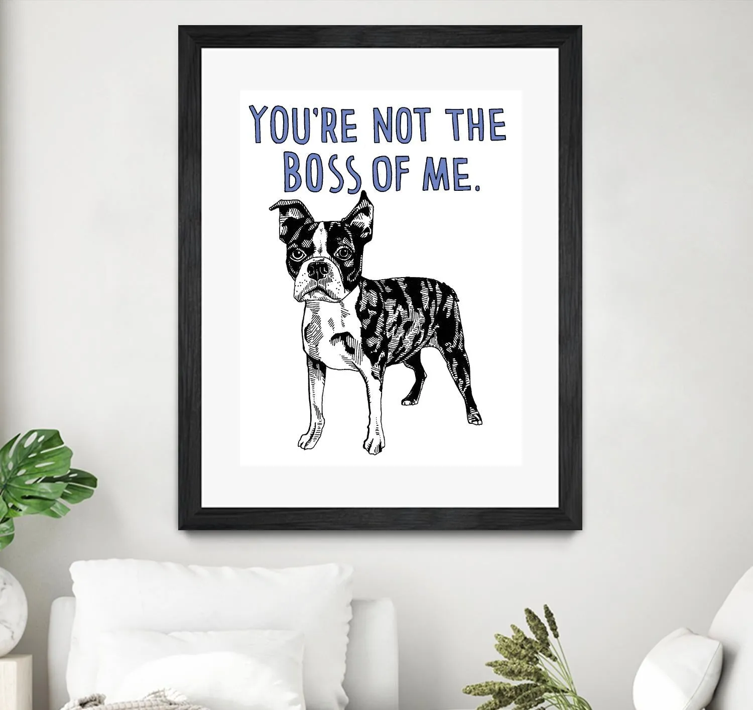 Boston Terrier