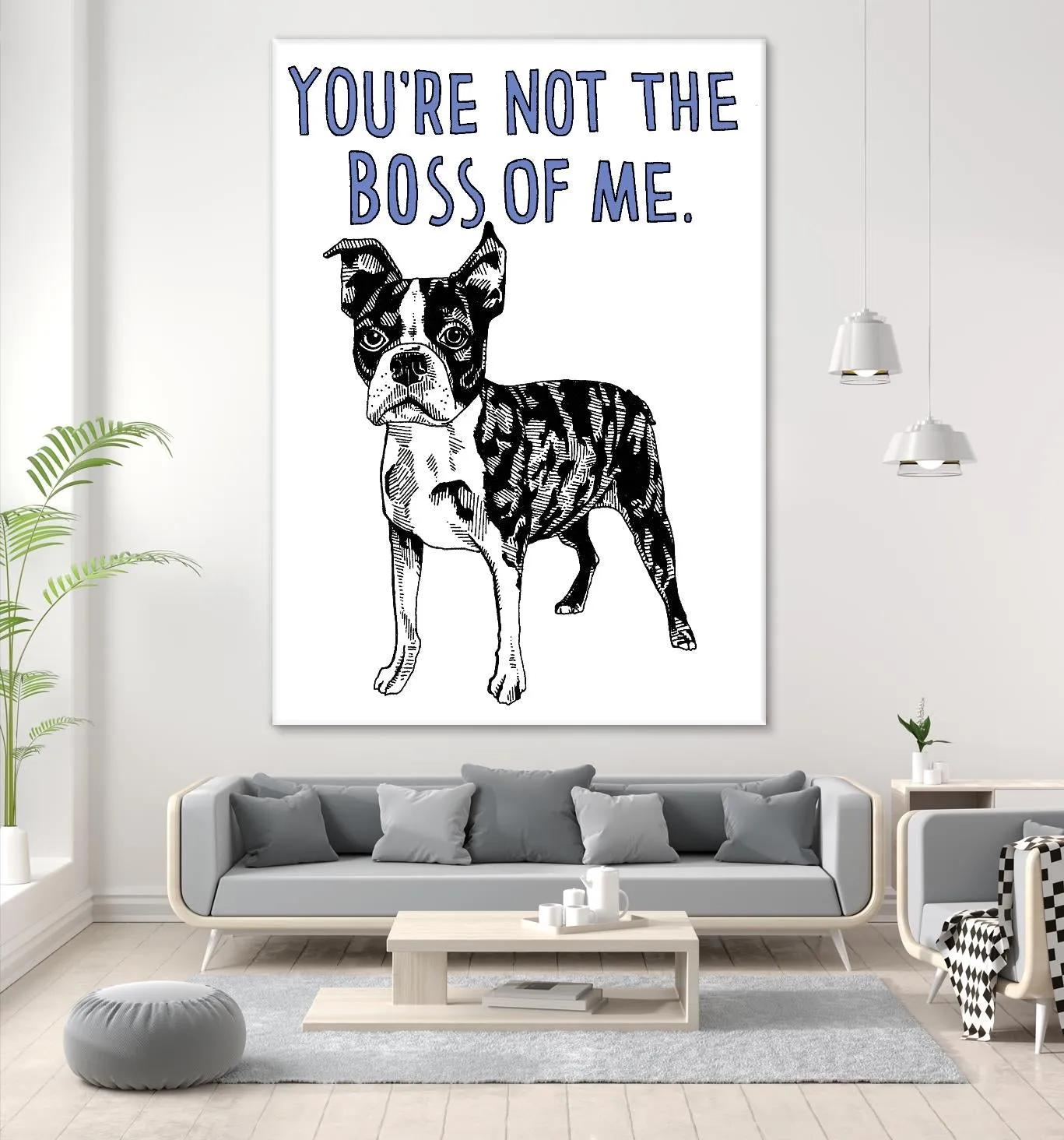 Boston Terrier