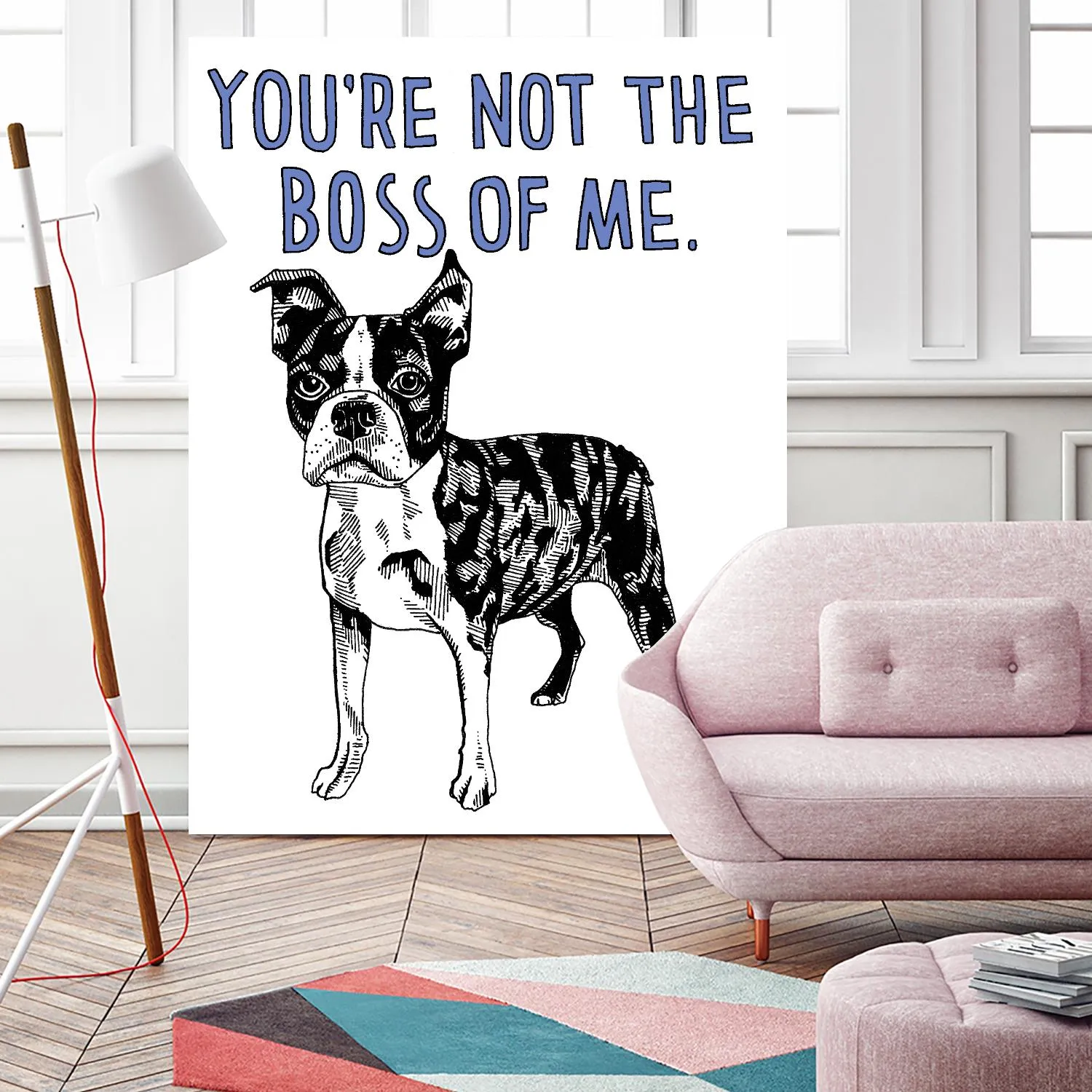 Boston Terrier