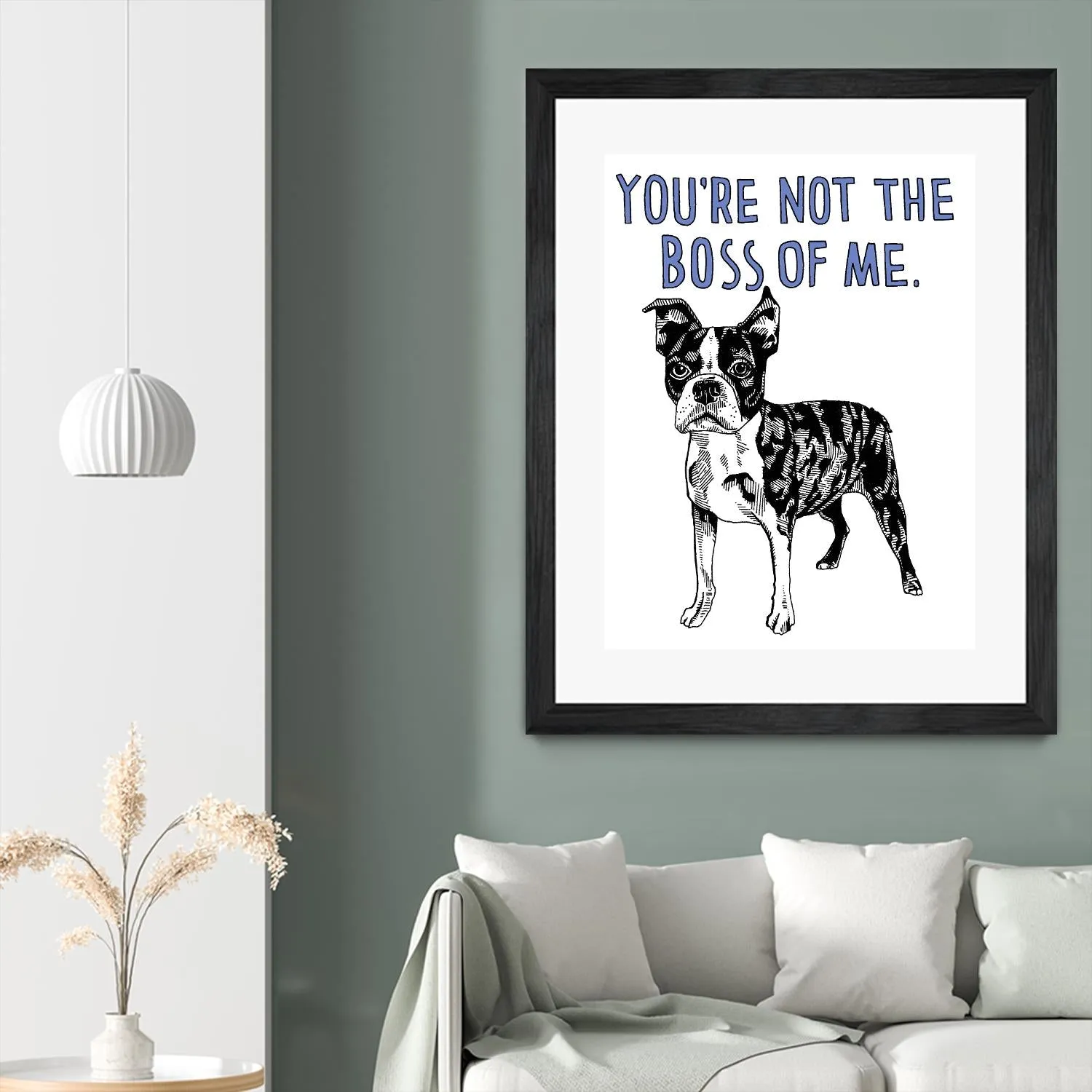 Boston Terrier
