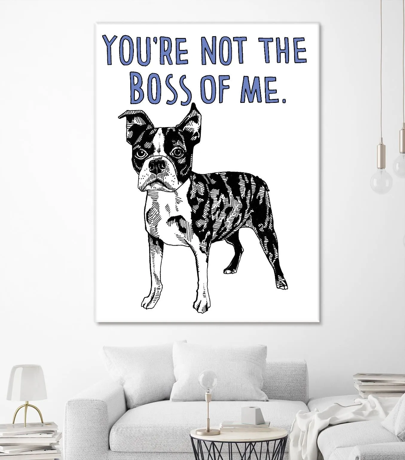 Boston Terrier