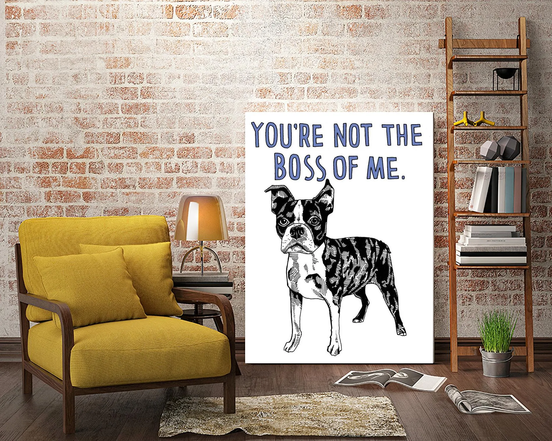 Boston Terrier