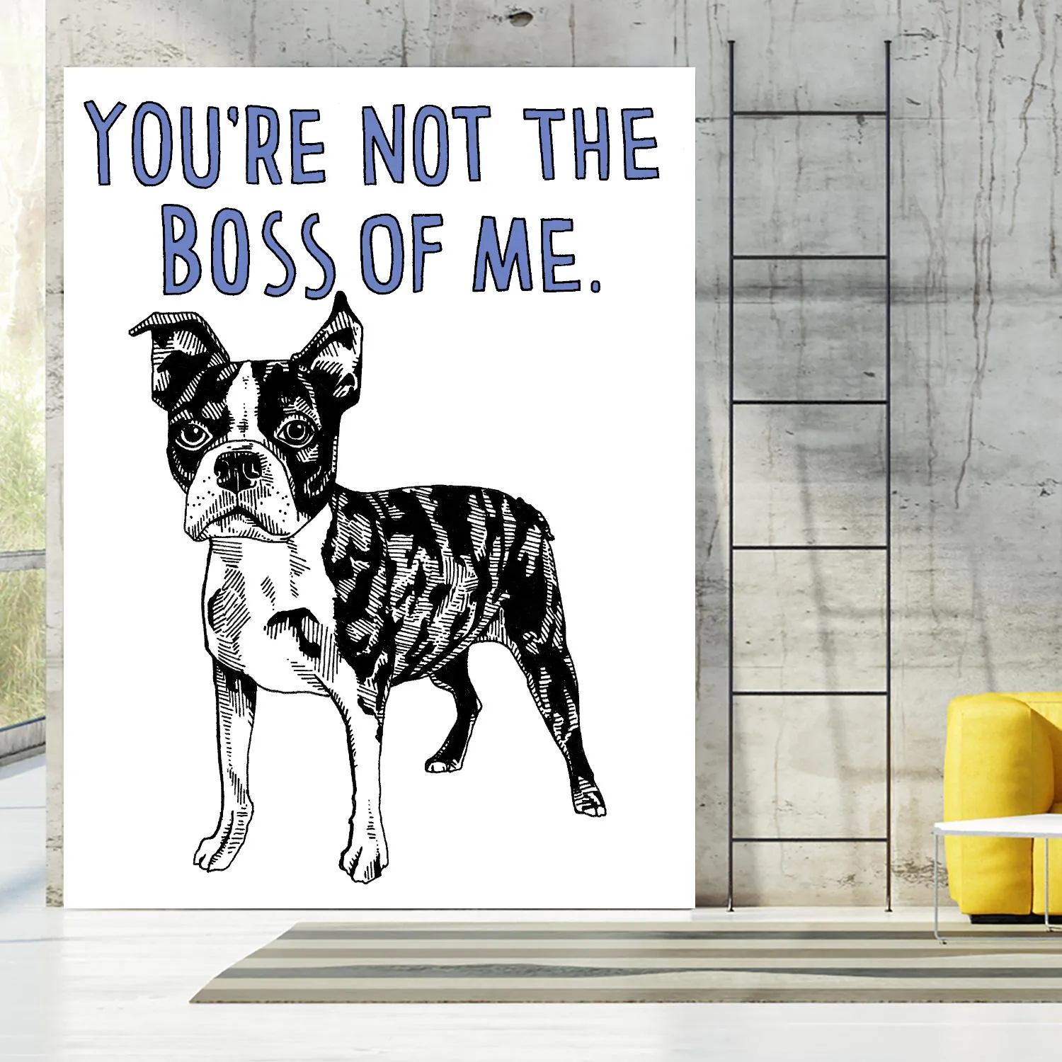 Boston Terrier