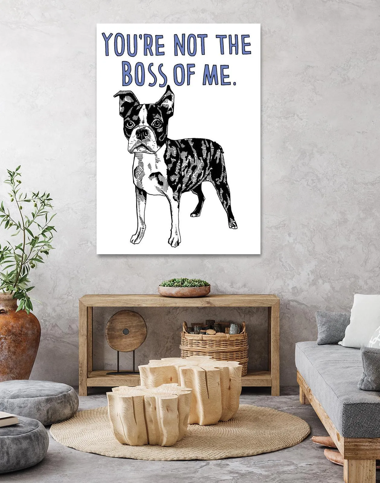 Boston Terrier