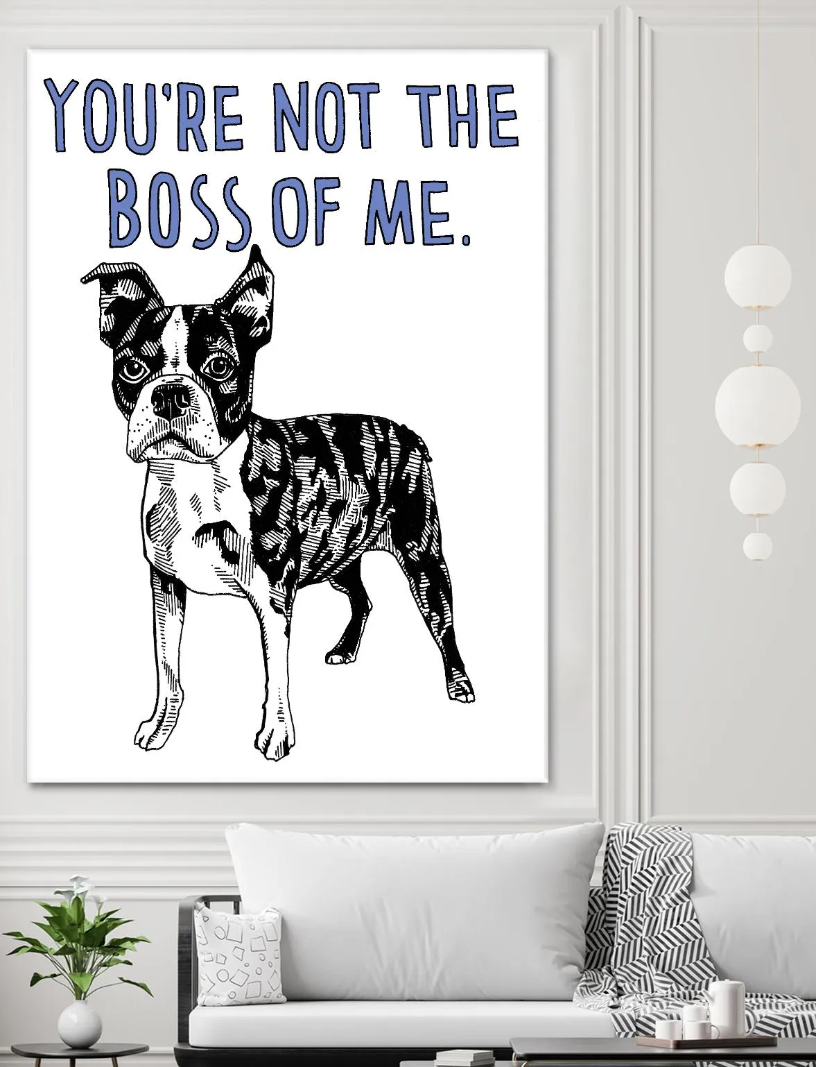 Boston Terrier