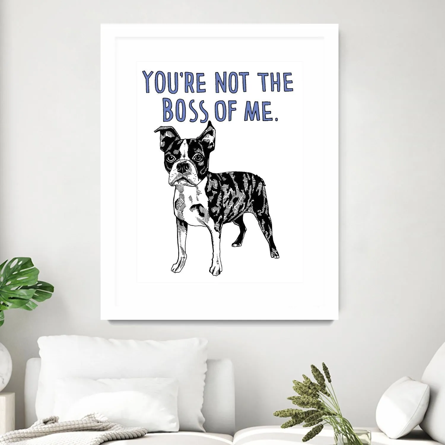 Boston Terrier
