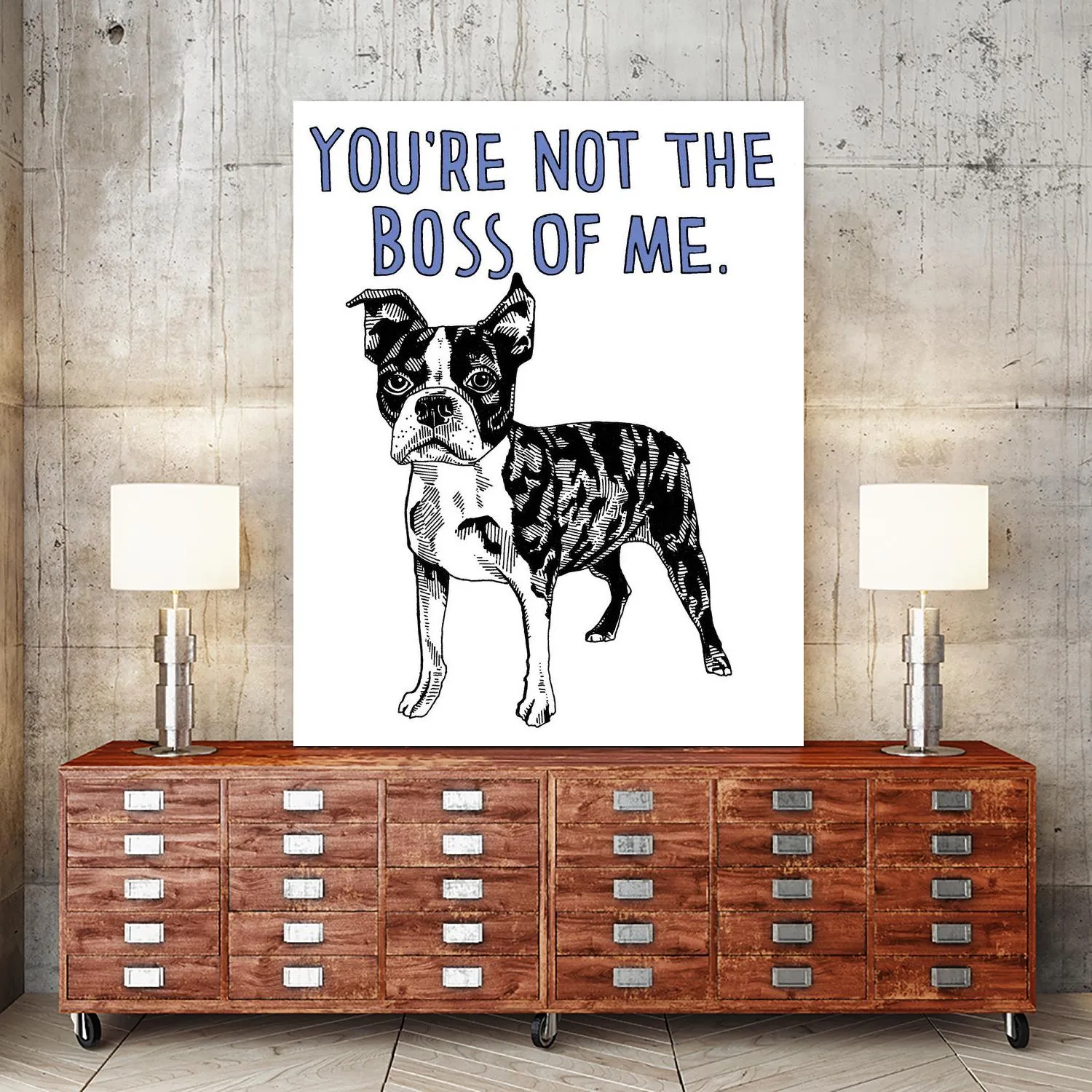 Boston Terrier