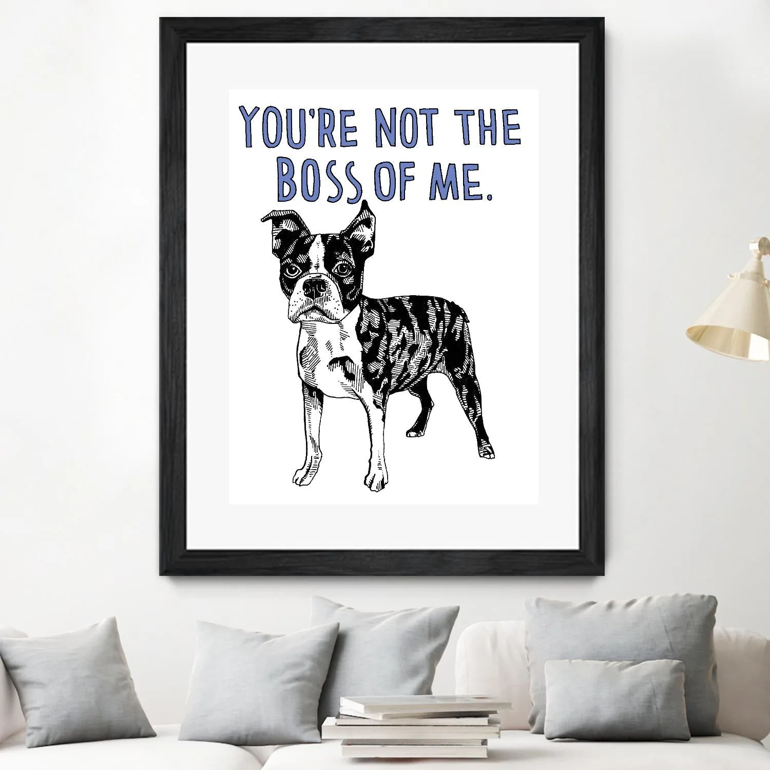 Boston Terrier
