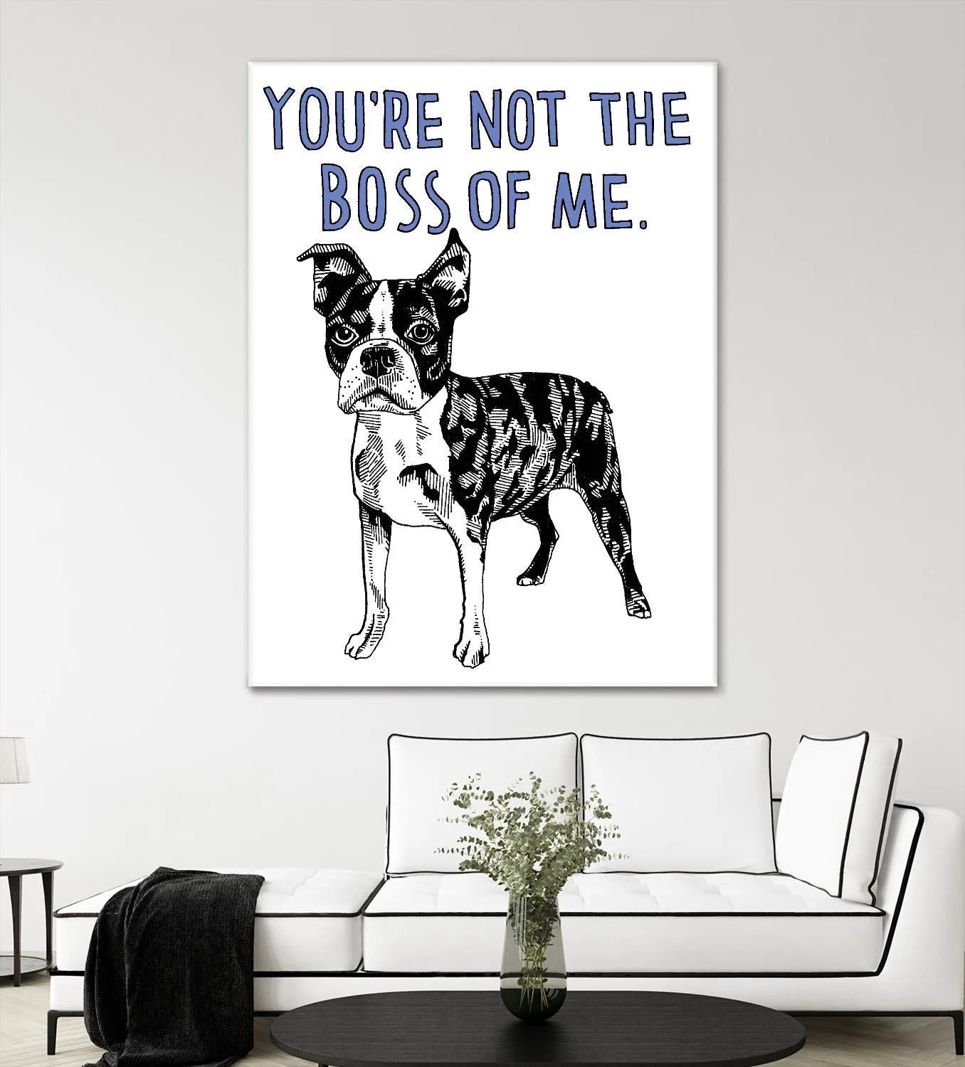 Boston Terrier