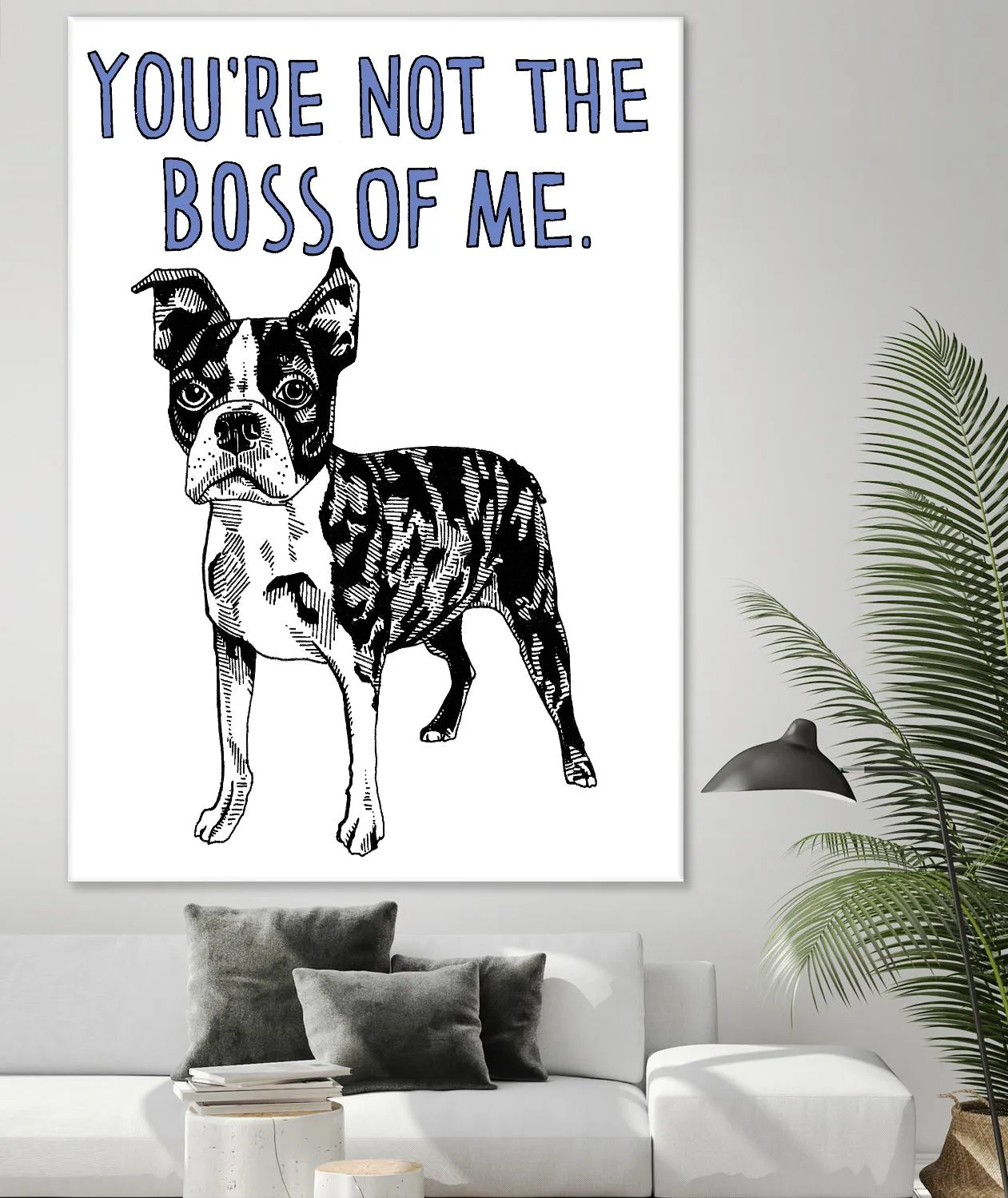 Boston Terrier