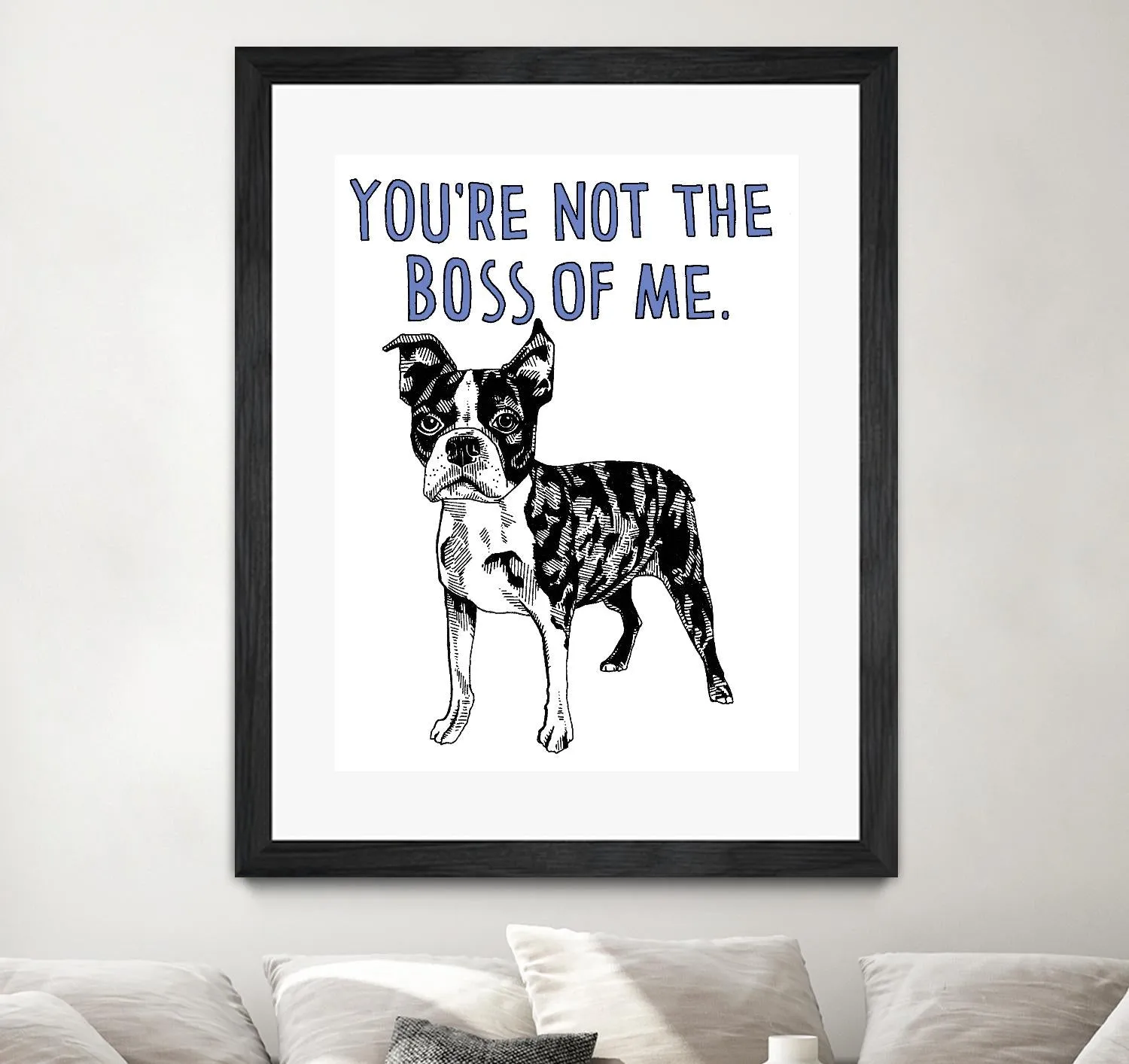 Boston Terrier