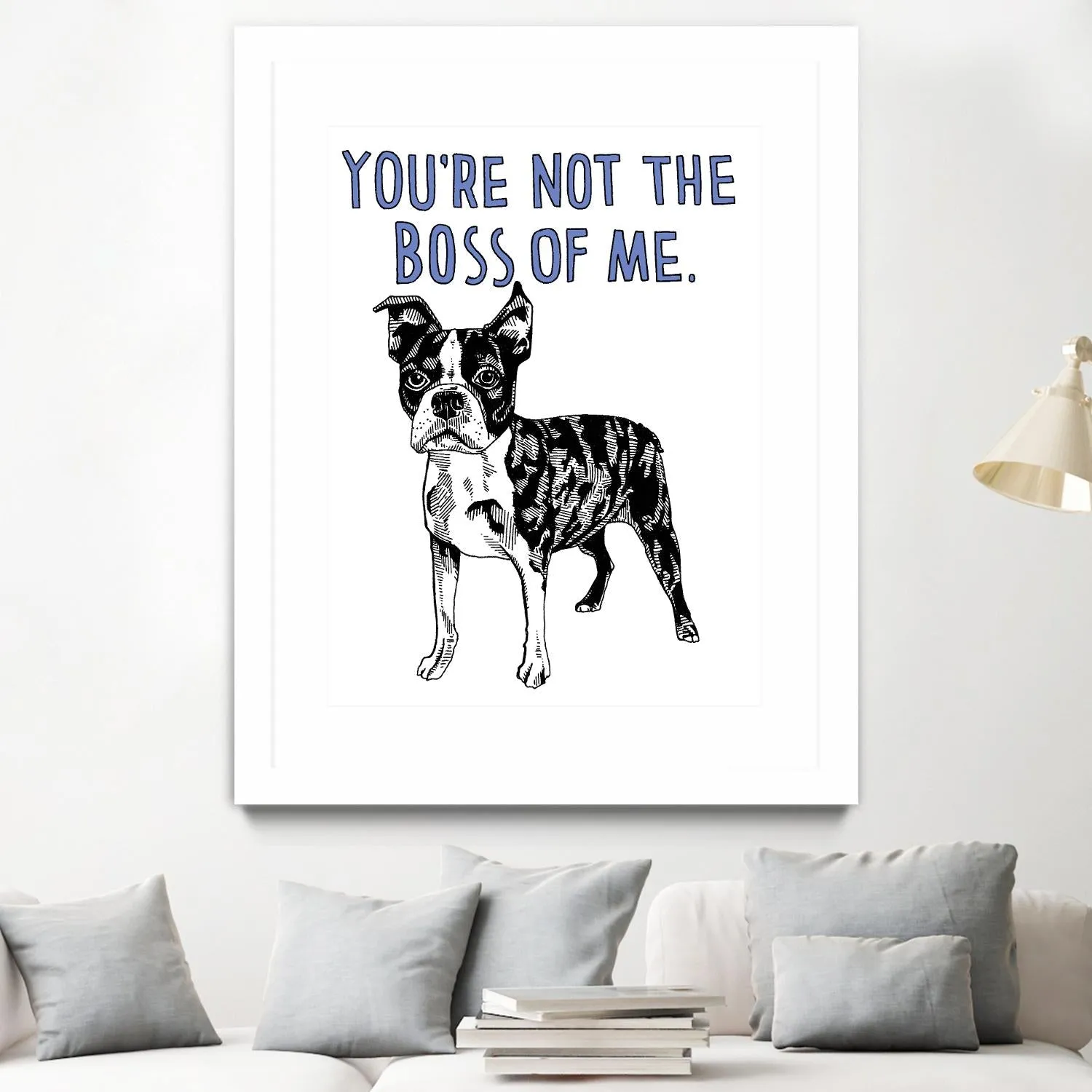 Boston Terrier