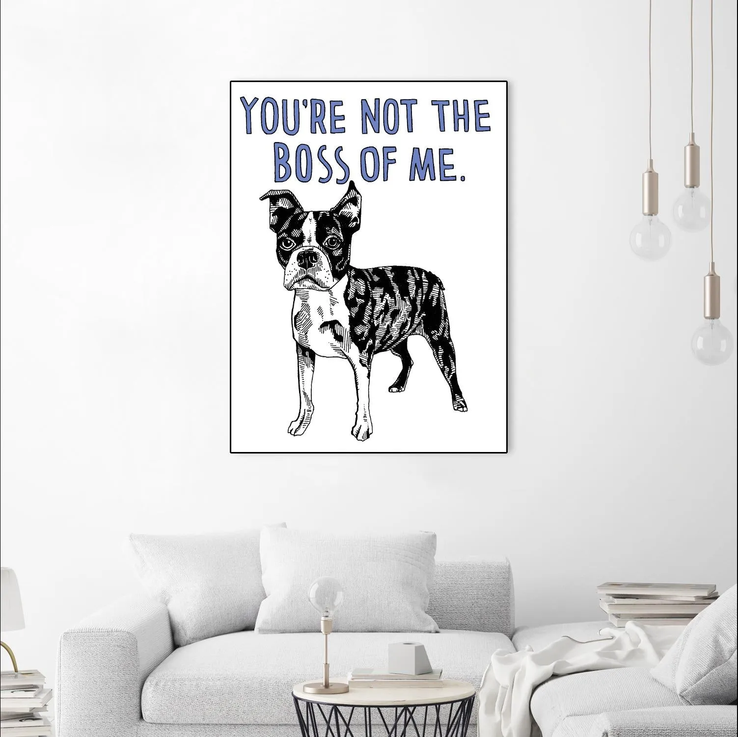 Boston Terrier