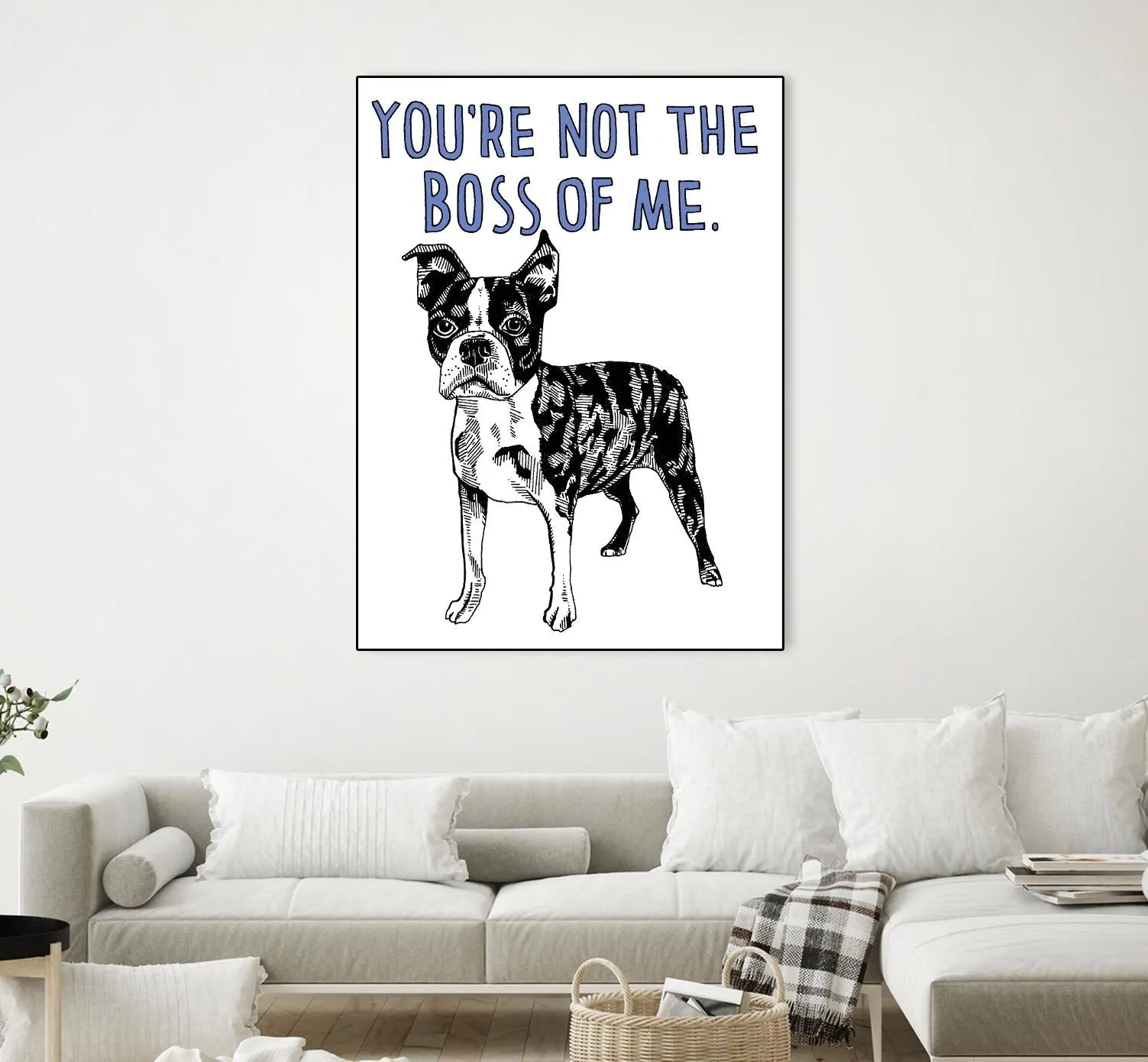 Boston Terrier