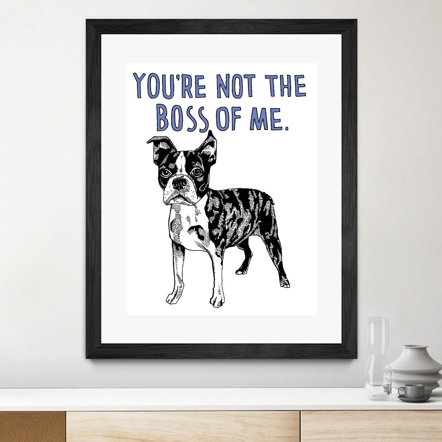 Boston Terrier