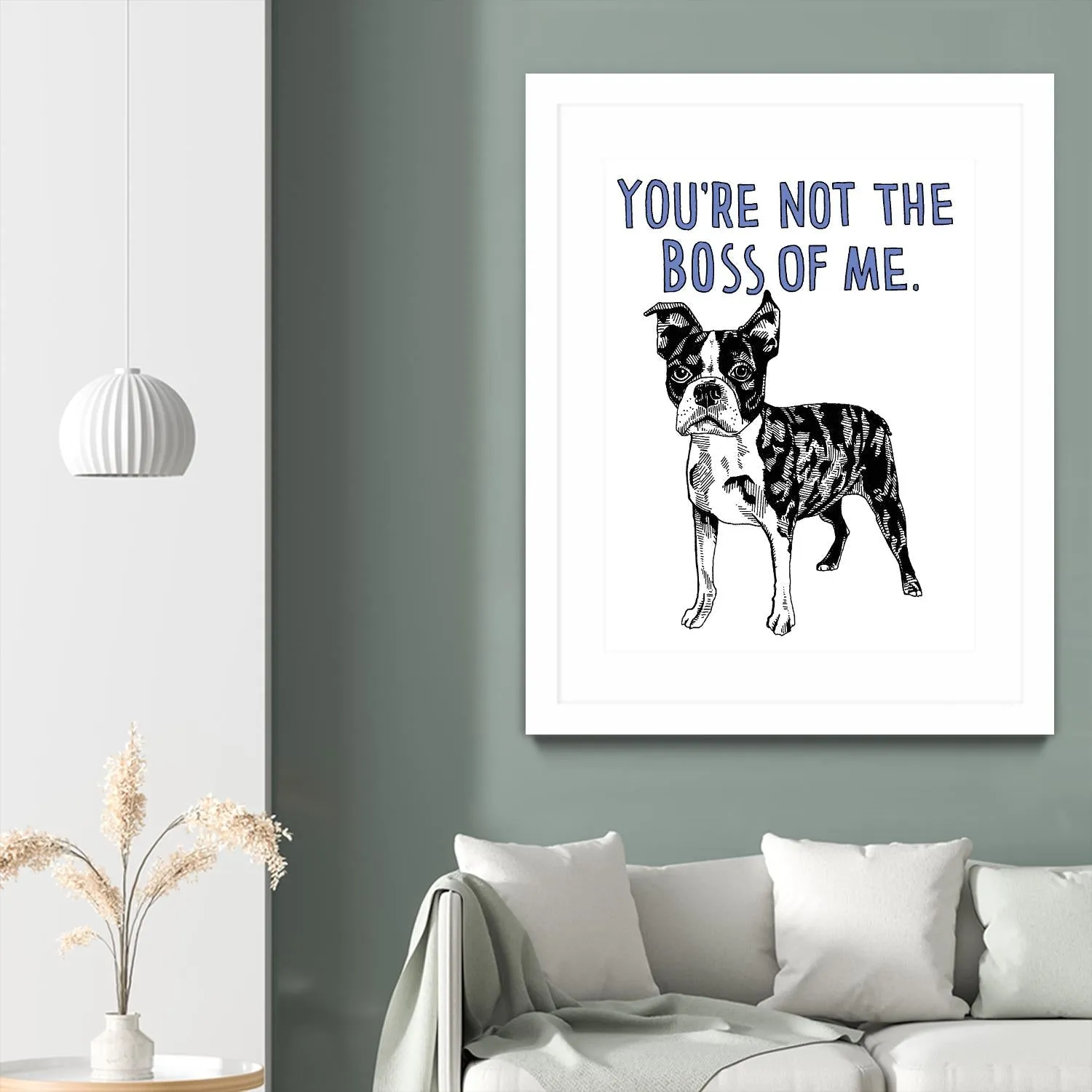 Boston Terrier