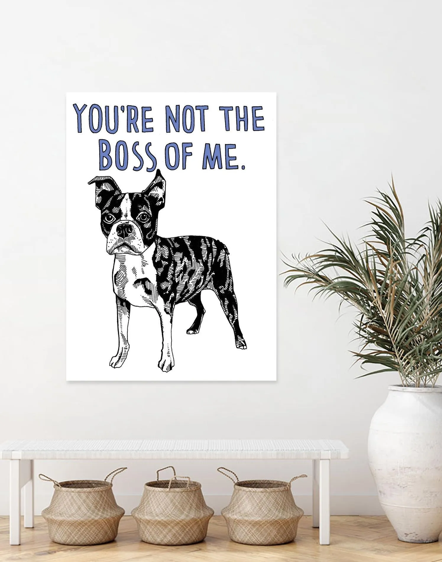 Boston Terrier