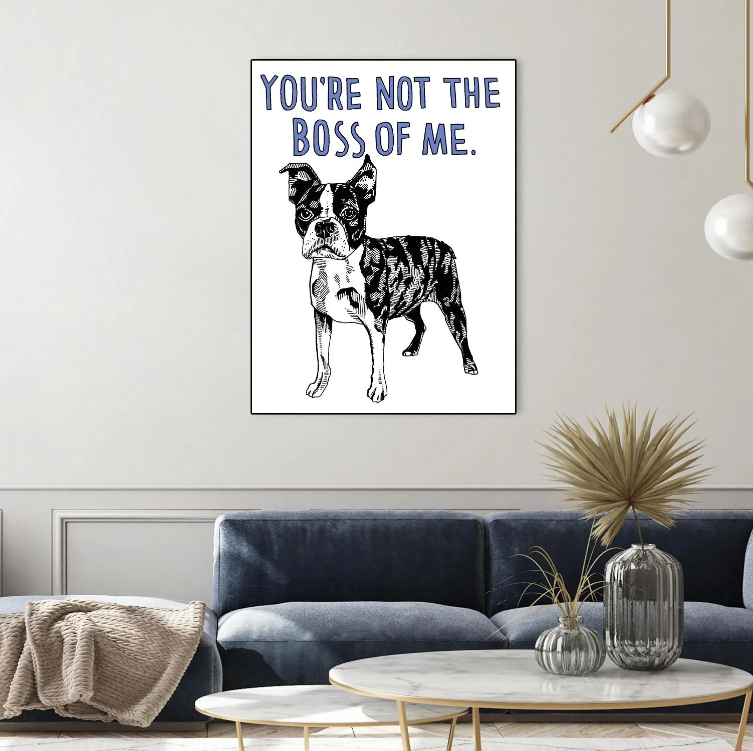 Boston Terrier