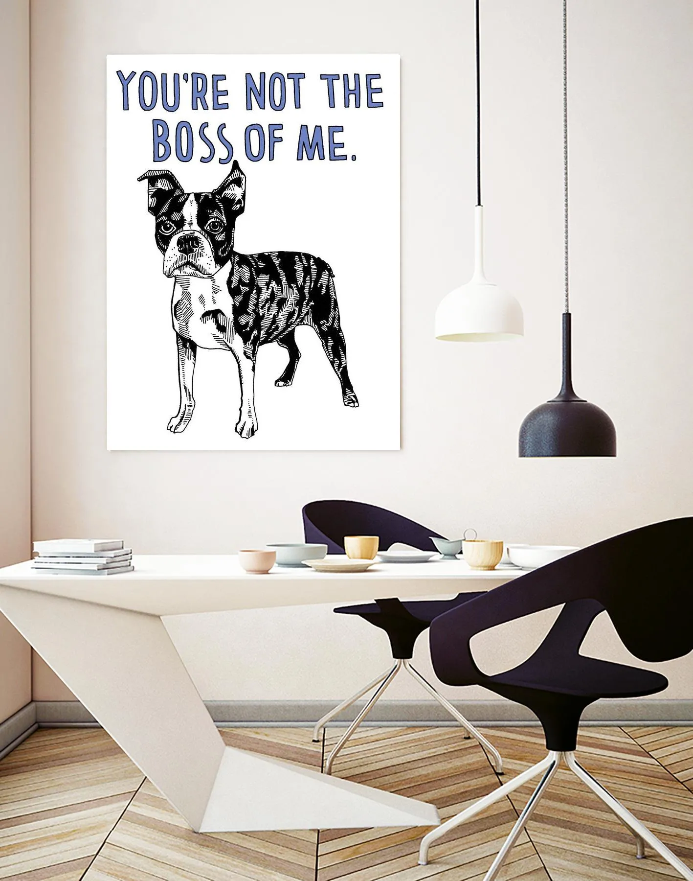 Boston Terrier