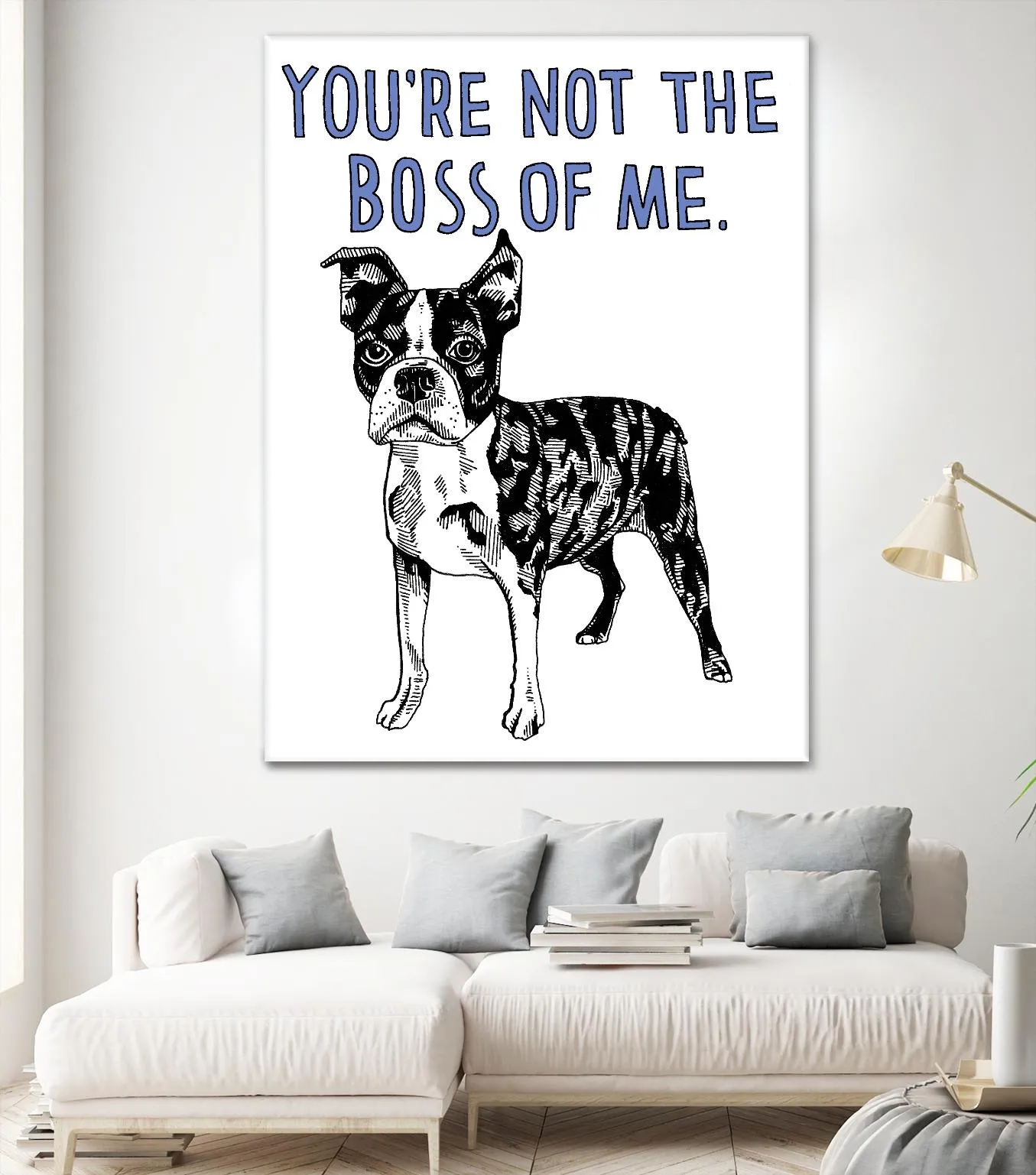 Boston Terrier