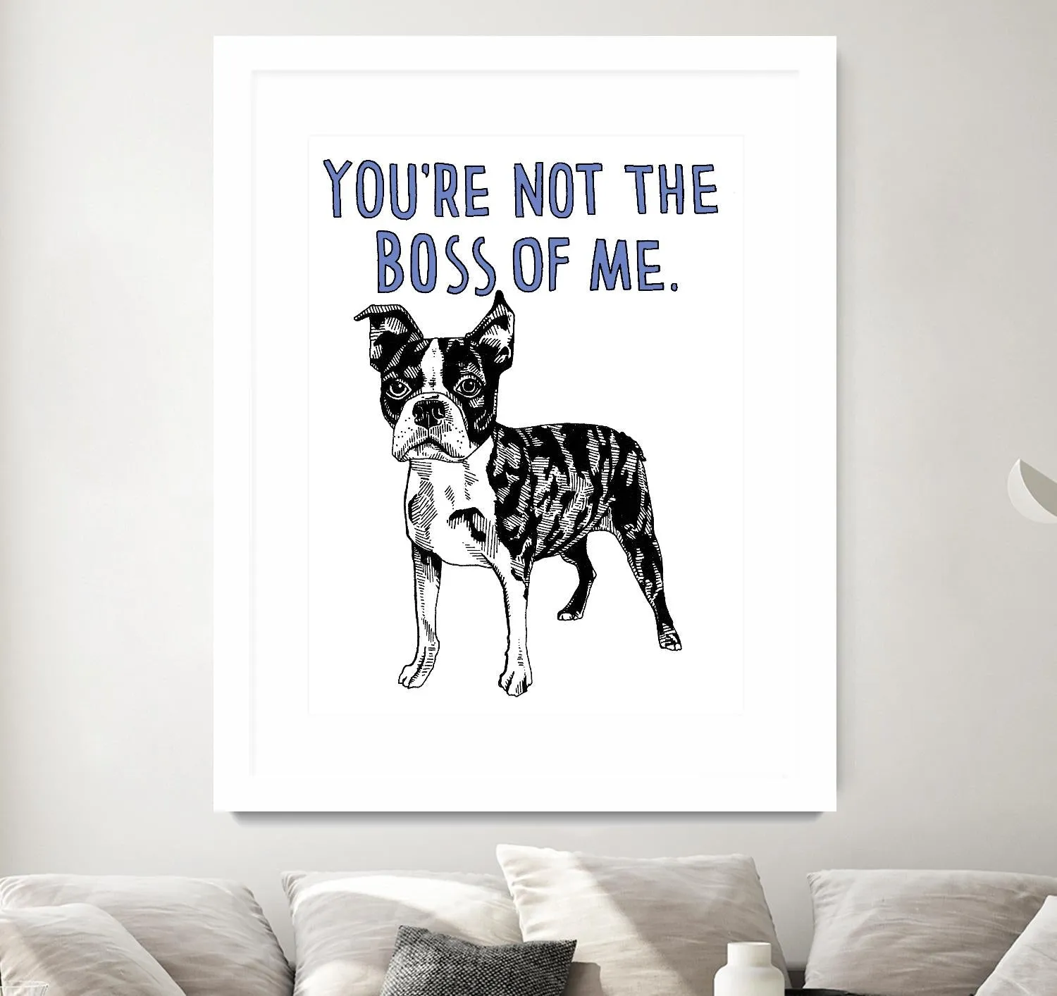 Boston Terrier