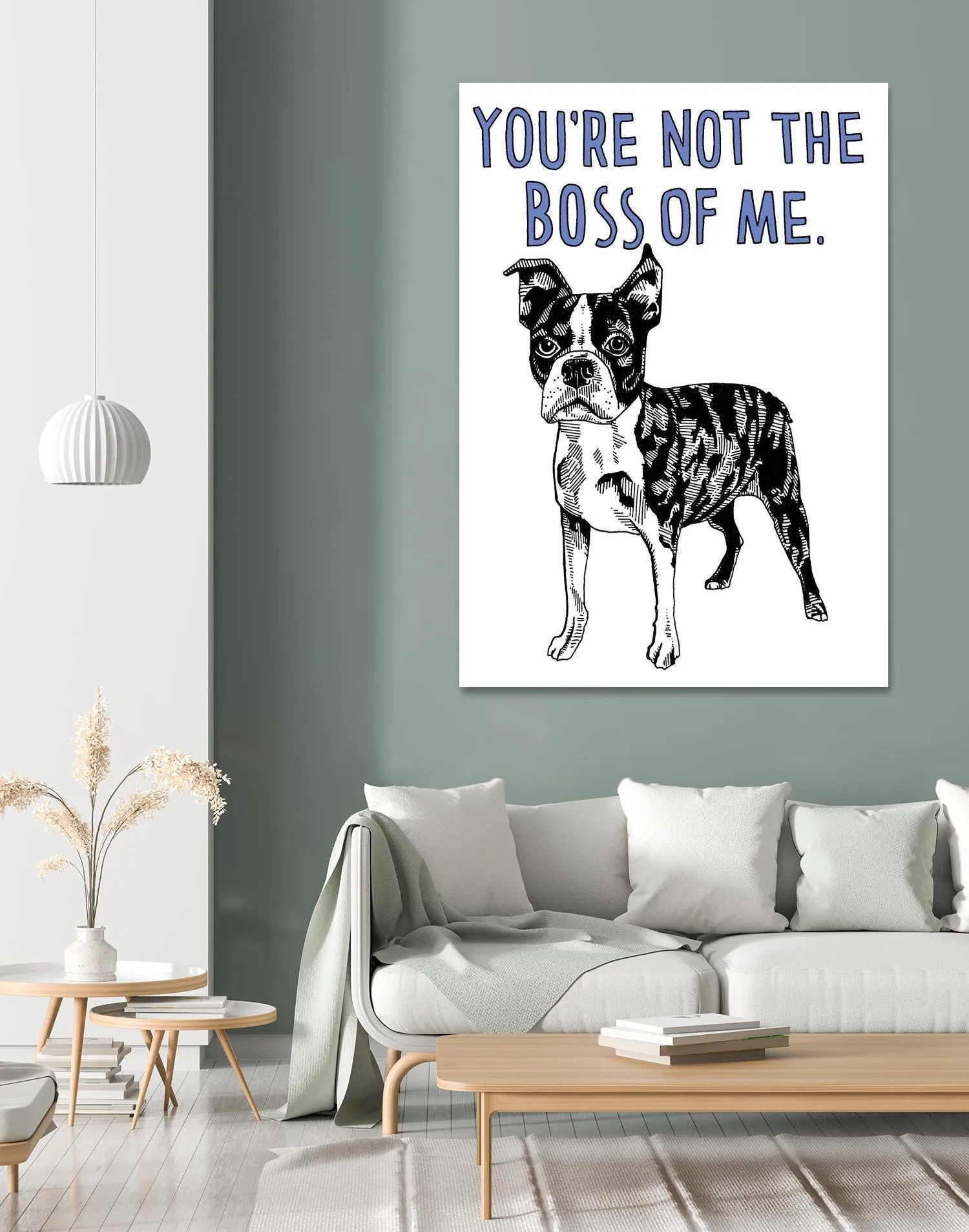Boston Terrier