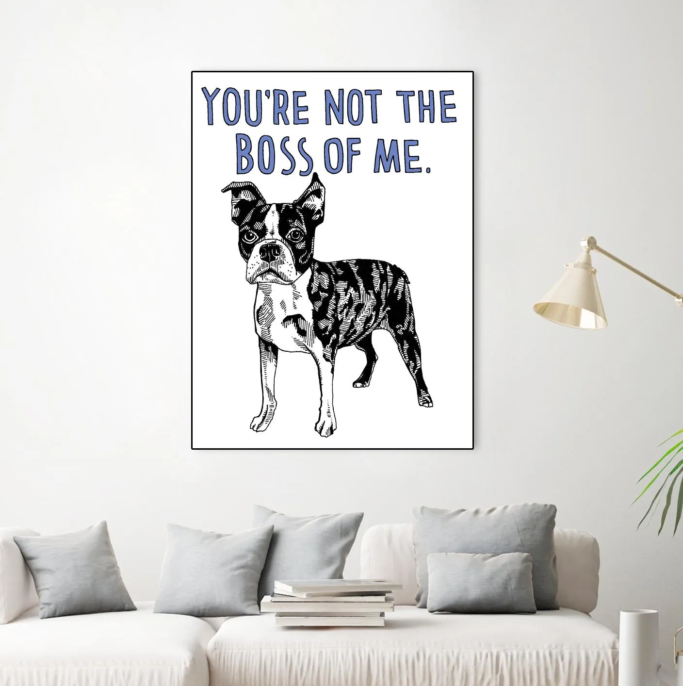 Boston Terrier