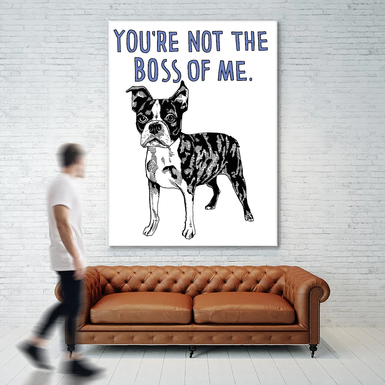 Boston Terrier