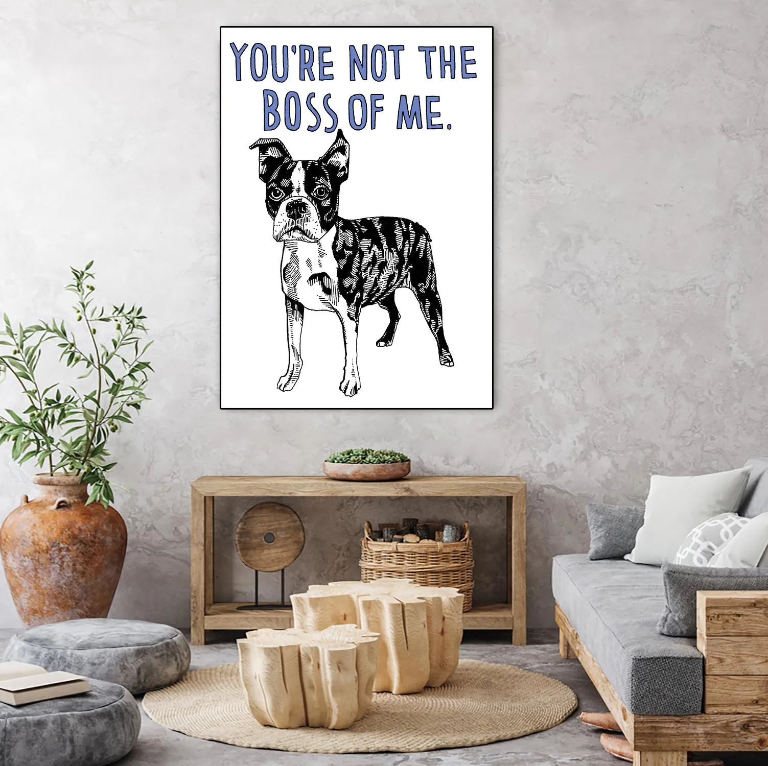 Boston Terrier
