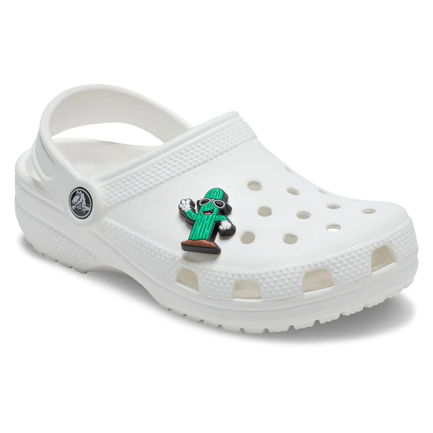Cactus Dude Jibbitz