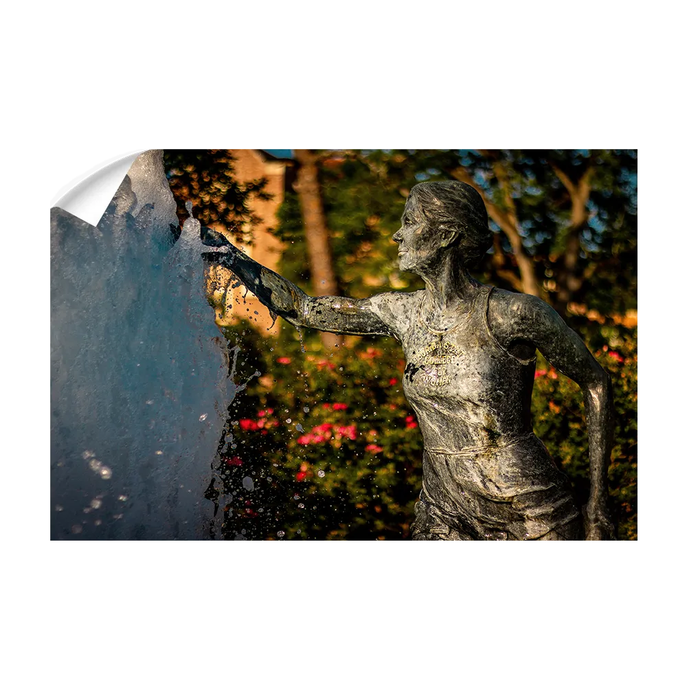 Florida State Seminoles - Legacy Fountain Splash