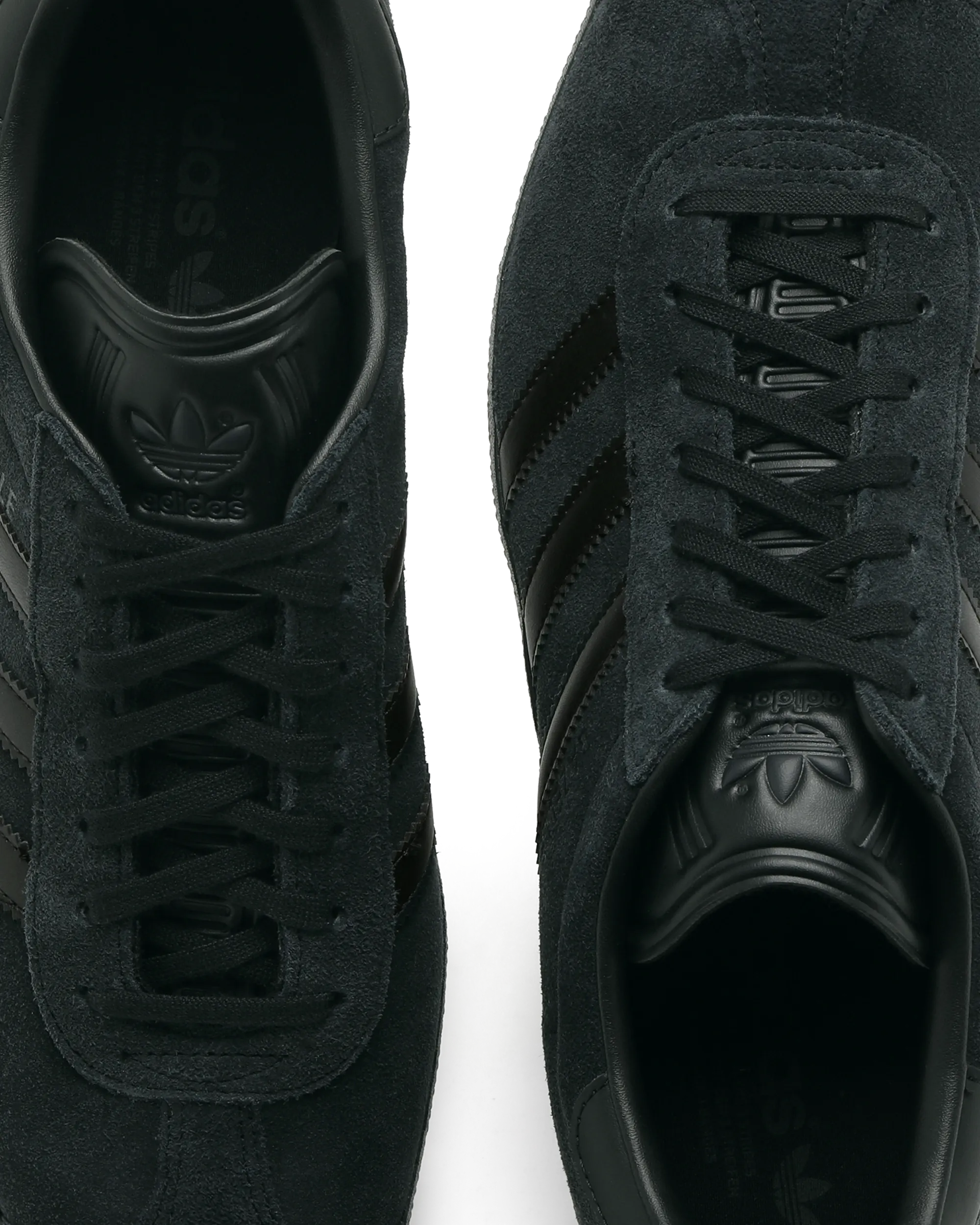 GAZELLE